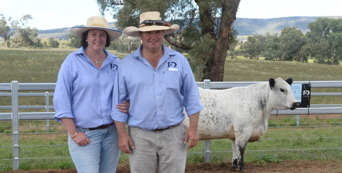 Amy and Justin Dickens of JAD Speckle Park stud, Yeoval, with their $40,000 Australasian record priced JAD L260 Unique Q33 (ET) bought by return buyers Tony and Liz Sutcliffe, Toebelle Speckle Park, Duns Creek.