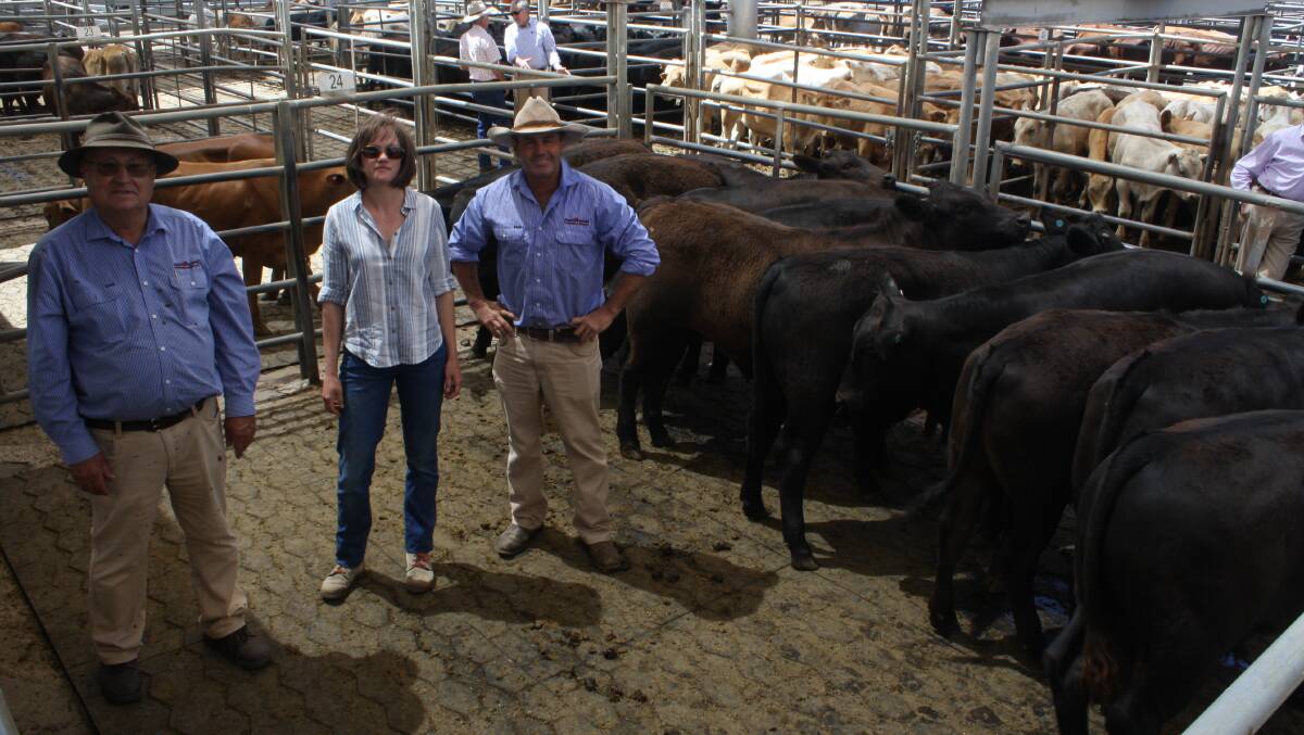 Vendor Mirjam Gwozdecky, Wellington (centre) sold this pen of eight month old Angus cross steers for $1380/hd at Dubbo's store cattle sale on Friday. She is pictured with agents Phillip Morris (left) and John Hyland (right), both Peter Milling and Company