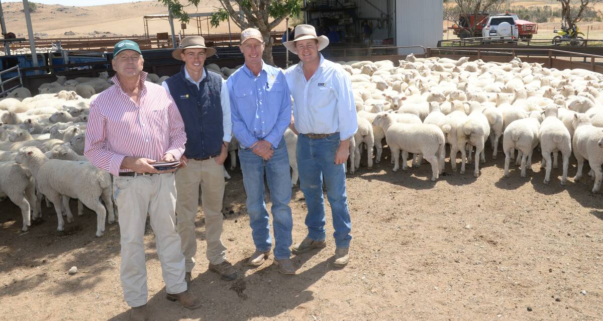 Buyer, Tony Rutter, Tarcutta, and Delta auctioneer Jon Bergmeier, with Bobbara station manager Matt Cummins and agent Cam Rosser in the top priced pen of 351 Meat Plus wether lambs averaging 39.7 kilograms which sold for $168.