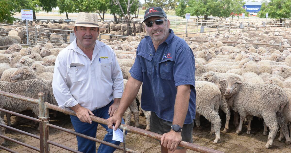 Paul Quade of Quade Moncrieff Livestock and Property, West Wyalong, with Matt Goodwin, McClintock Farming, West Wyalong and the McClintock's best presented pen of 475 Merino wethers. These topped the wether market at $180 a head selling to the Bryant family, Mallee Vale, Ungarie.