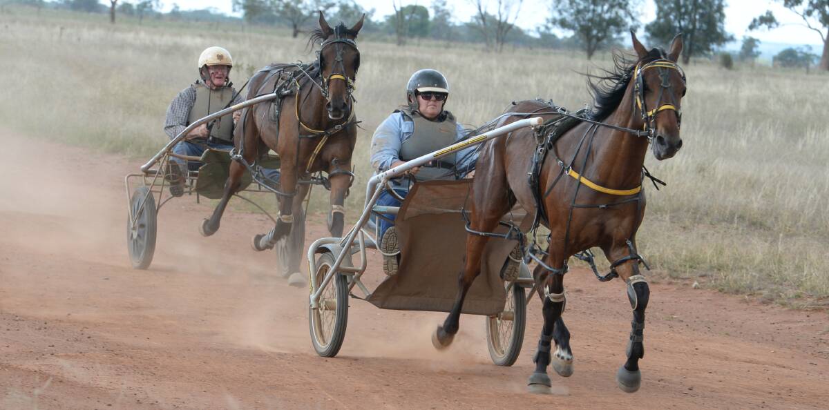 Ian Williamson and daughter, Felicity, drive two young geldings for a training run on the Aurora Park, Peak Hill, track.