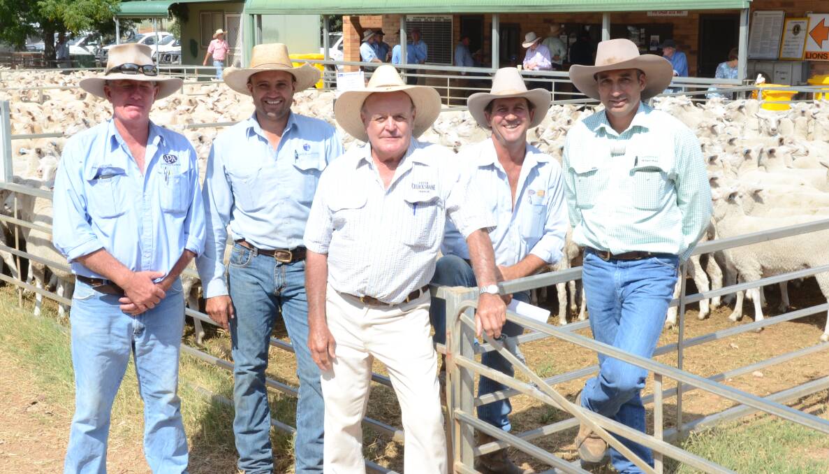 Five stock agencies making up Narromine Stock Agents Association have leased Narromine saleyards from council for the next three years. Pictured are representatives Andrew Peadon, Andrew Peadon and Associates, Trangie; Tim Wiggins, Christie and Hood, Narromine; Trangie agent Peter Cruickshank; Jason Hartin, Hartin Schute Bell; and Ashleigh McGilchrist, Landmark Wilson Russ, Narromine.