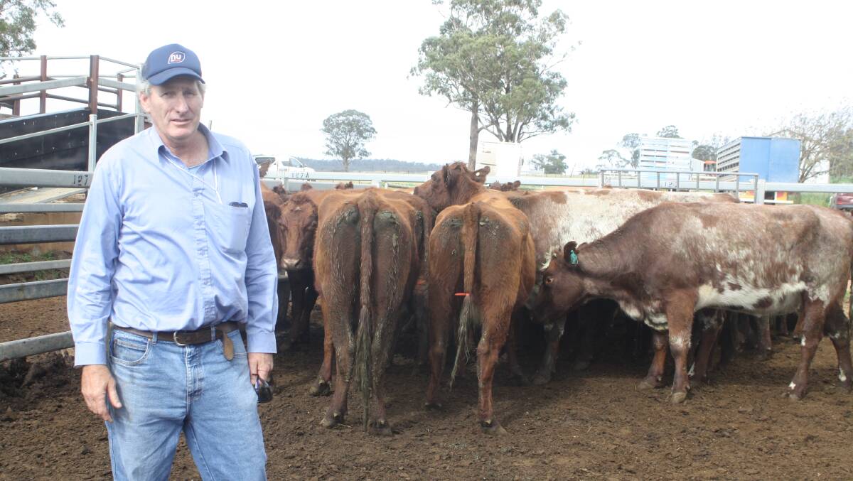 Neil Stanford, Raheen, Dunedoo, paid $2175 each for PTIC Shorthorn cows from Birkalla Partnership, Dunedoo, at Dunedoo store cattle sale in mid-April.