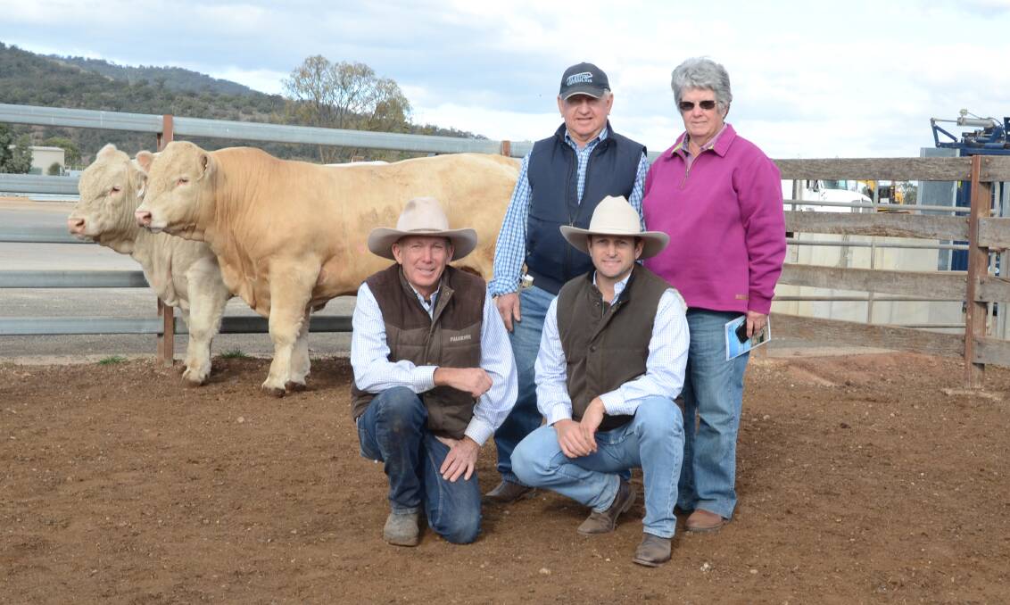 The $22,000 top-priced Palgrove Natural (P), sold to Elstow Charolais, Baradine, at the Palgrove Hunter Valley bull sale last Friday. Pictured are David Smith and Ben Noller of Palgrove stud with buyers Bruce and Margaret McConnaughty.