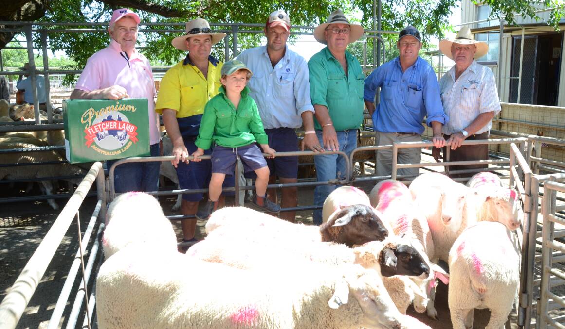 Donations from Trangie district breeders included Shane Dolton, Trangie Hotel, the organiser; Cam and Eddie Ferguson, “Fairfield”; Tony Ferrari, “Glenayr”; Scott Pureseglove, “Wahroonga”; and Sam Wade, “One Mile”, with selling agent Peter Cruickshank.