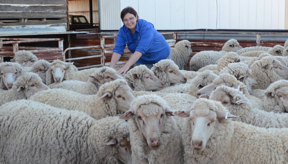 Fiona Aveyard among her Plevna blood maiden ewes bred at Westpoint, Tullamore, and displayed at Plevna North, Trundle, awarded the Grant Nixon Encouragement Award.