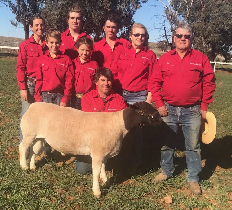 The Pagett family will disperse their Winrae Dorper stud at Canowindra on Monday, August 20 selling all stock in an unreserved sale.