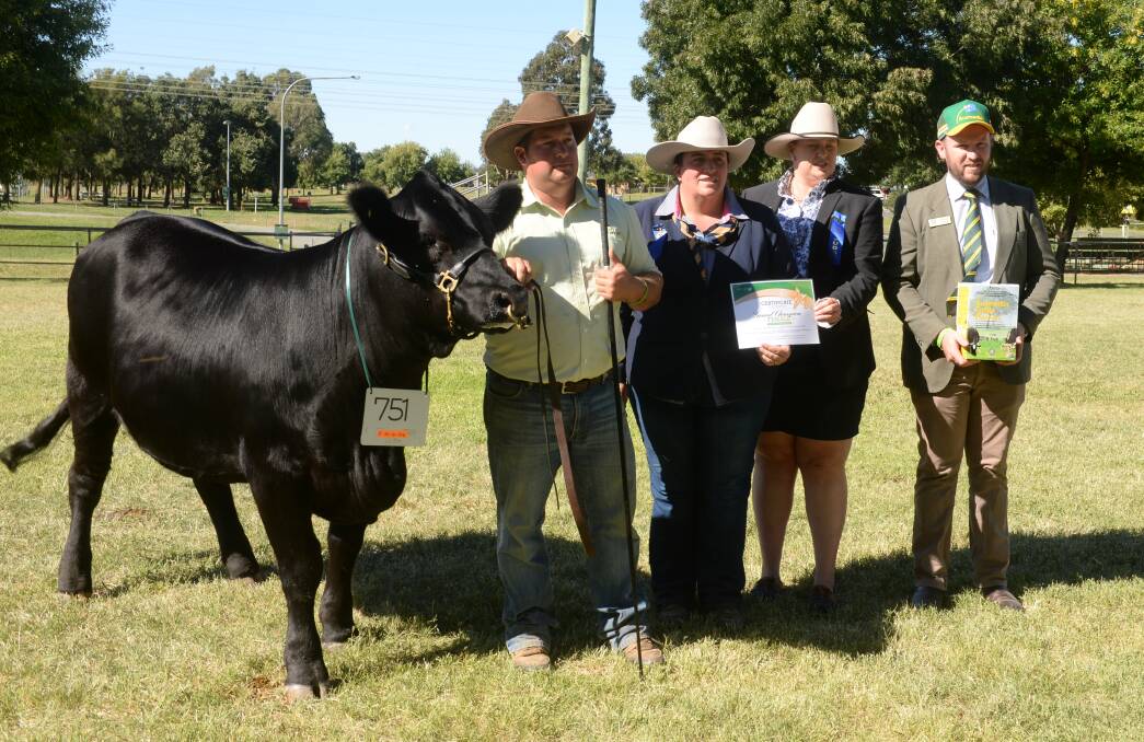 Senior and grand champion and supreme Simmental exhibit Summit Charisma Q1, held by Hayden Green, Uranquinty, with judge, Rene Keith, Roslyn and associate judge Emily Polsen, Yass, with Shannon Lawlor of Ausmectin.