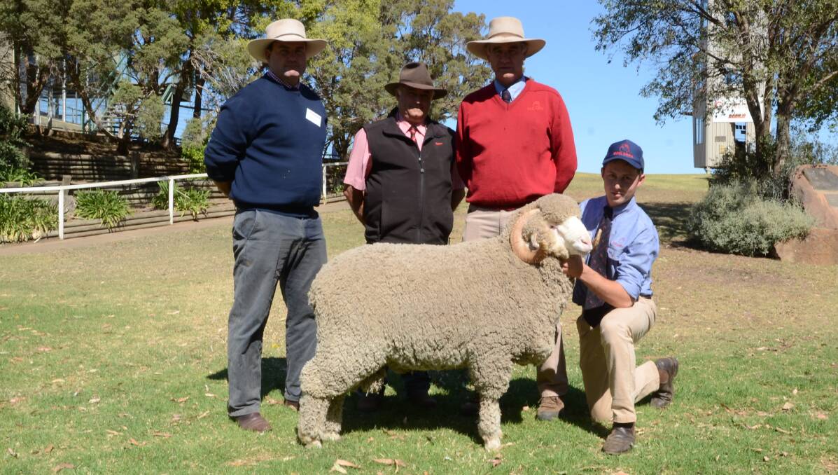 Gunyah stud, Cooma, paid $7000 third top price for this ram held by Austin Grace. From left are Hugh Kater, Egelabra stud, Scott Thrift, Elders, Dubbo, and Cam Munro, Egelabra general Manager.