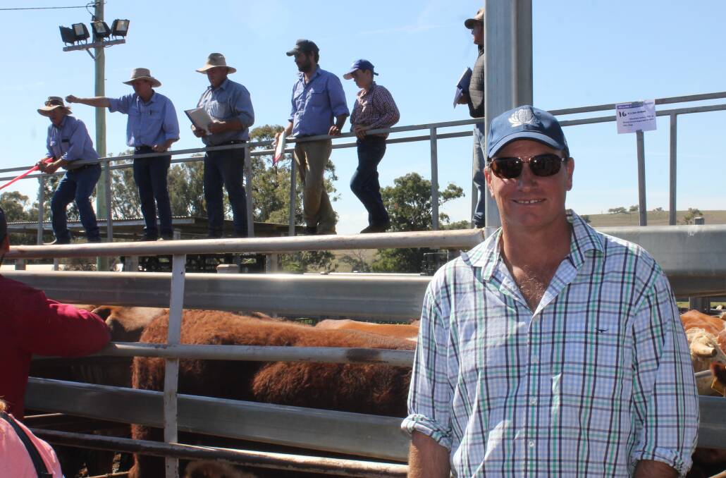 Todd Fergusson of Moreton Bay South Poll Shorthorns, Dunedoo, who with wife, Sara, dispersed their herd of 115 cows. Pinehurst Partnership, Merrygoen, also dispersed.