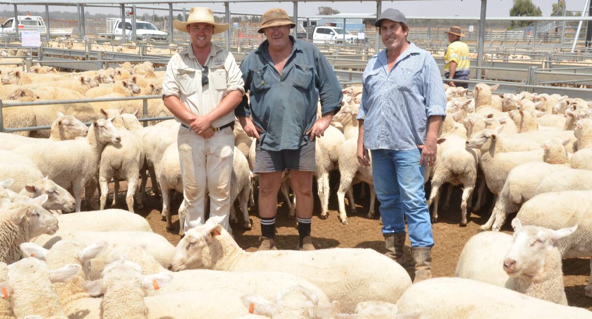 Jack Rix with Peter Sam, Big D Partnership, Lachlee, Condobolin, and Nigel McKenzie, Bedgerabong Shearing, with Mr Sam's 135 joined ewes which sold at $310 each.