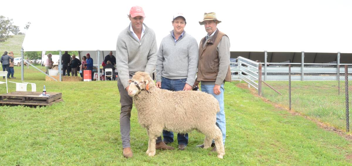First-time buyers Xavier and Bill White, Lindenwood, Wagin, WA, with Chad Taylor, Mumblebone studmaster, holding one of their $3000 top purchases.
