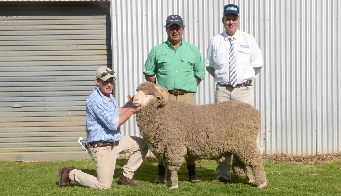 A Roseville Park on-property sale record at $26,000 was paid by the Rockford Merino stud, Bothwell, Tasmania, for RP19.0063. Pictured is Matthew Coddington of Roseville Park holding the record-breaker with buyer Damian Meaburn, Nutrien Livestock, Tasmania, and Paul Dooley, guest auctioneer, Tamworth.