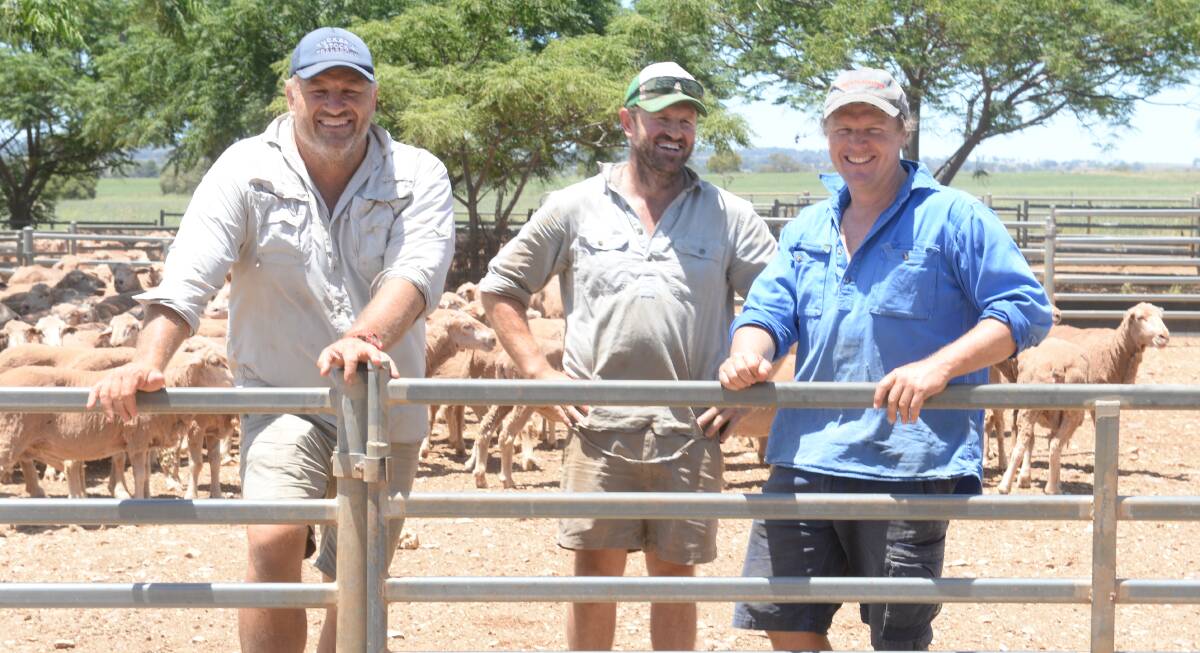 Brothers Joe and Sam Mason, Spicers Run, and cousin Matt Mason, Westwood, run two separate operations at Spicers Creek, but lease two adjoining properties.