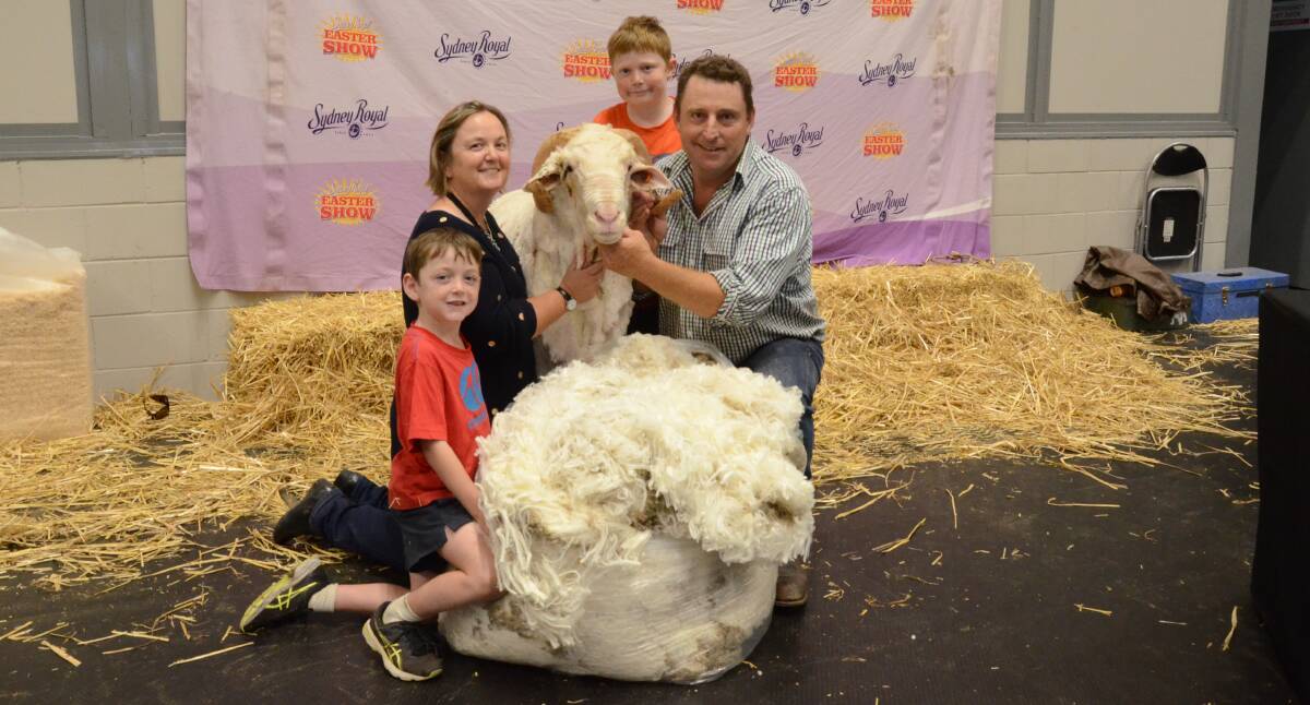 Top performance for second successive year from the Grassy Creek Merino stud, Reids Flat. Their grand champion medium wool ram gained the highest pointscore in the Production class at Sydney Royal Show and is pictured with Hugh, 7, Jane, Toby 9 and Michael Corkhill.
