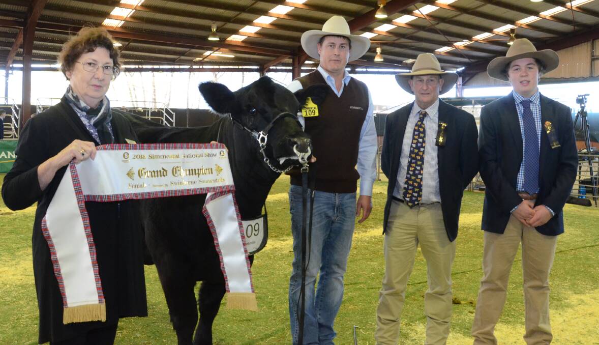 Elaine Almond, Swinburne Simmentals, Wagga Wagga, sashes senior and grand champion Simmental female, Woonallee Hummer held and exhibited by Tom Baker, Woonallee stud, Millicent, South Australia, with associate judge Angus Llewellyn, Jillangus Red Angus stud, Willalooka, SA, and judge, Ted Laurie, Knowla Livestock, Moppy.