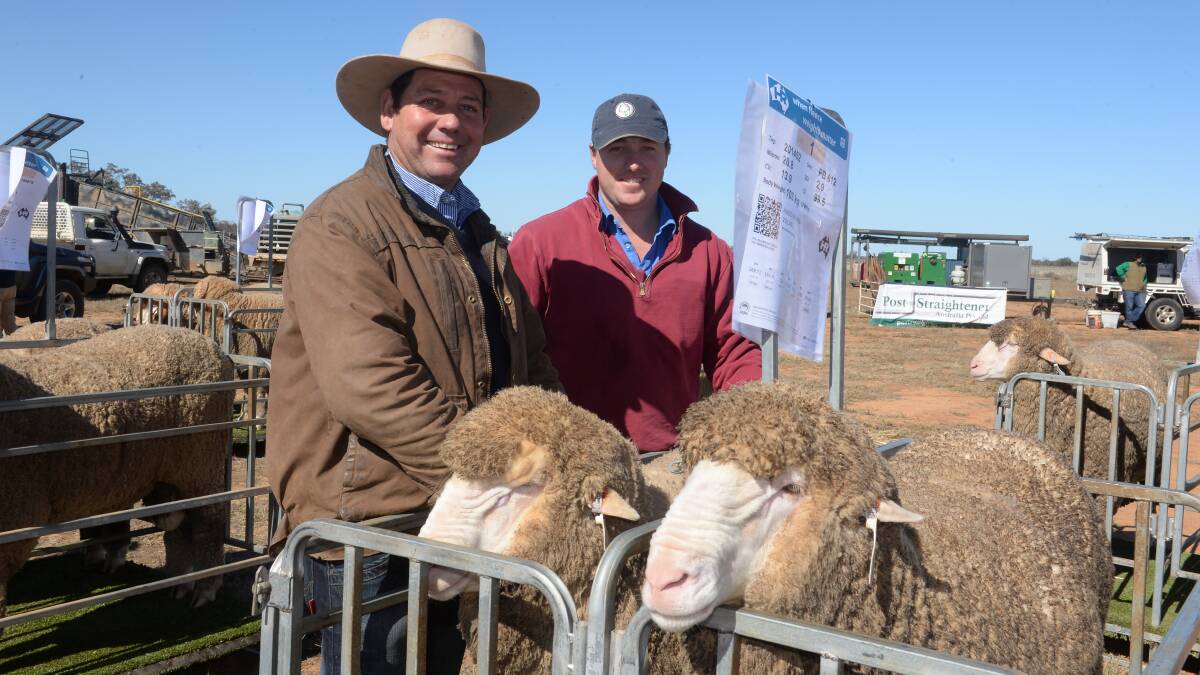 Andy Maclean, Haddon Rig, Warren shows two poll rams to Jack Harris, Brewon Station, Carinda.