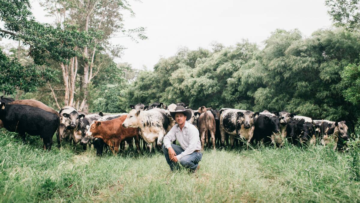Dallas Coben, Summergrove Speckle Park, Carool, NSW, is in the process of establishing an on-farm restaurant where Speckle Park beef will the hero of the menu. Photo: Figtree Pictures.