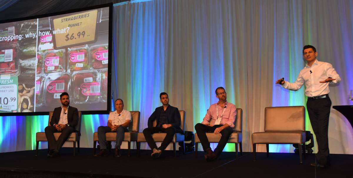 INSIGHT: The retail trends panel at the Protected Cropping Australia Conference 2019 Joseph Cartisano, Perfection Fresh Australia, Lee Peterson, BerryWorld Australia, Frank Barillaro, Roc Partners and Michael Engerman, Costa, with session moderator, Tristan Kitchener. 