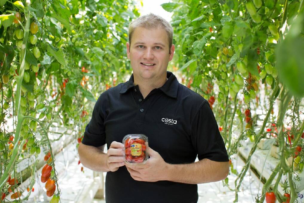 CHANGES: Costa glasshouses technical development manager Paul Butterworth says the collaborative project with UNE is progressing nicely with information already coming from the project influencing how the company looks at its crops. 