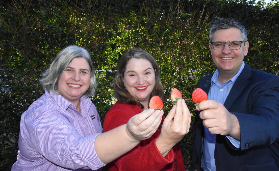 NEW: DAF Qld project lead Dr Jodi Neal, Berries Australia executive Rachel Mackenzie and Hort Innovation chief executive Brett Fifield show off the new Pink strawberry variety.