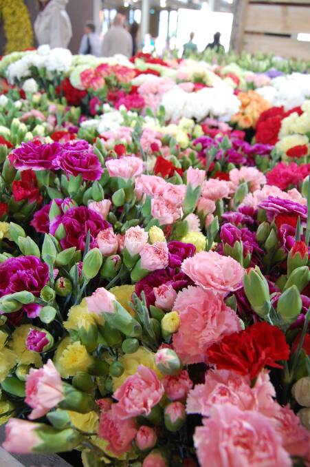 Biosecurity consistency needed for cut flowers