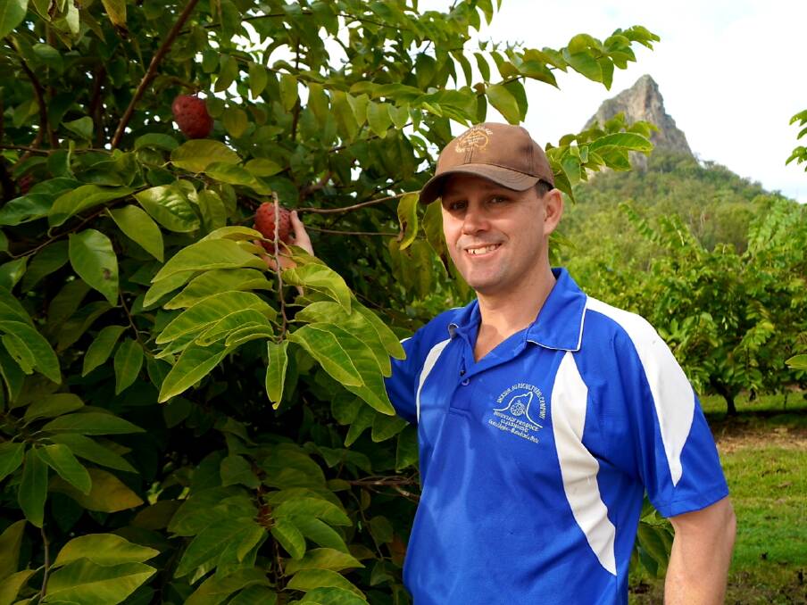 STAR: Queensland custard apple grower, Daniel Jackson, Jackson Agricultural Company, Glasshouse Mountains, will feature on Channel Ten's My Market Kitchen, as part of the Hort Innovation sponsorship of the program. 