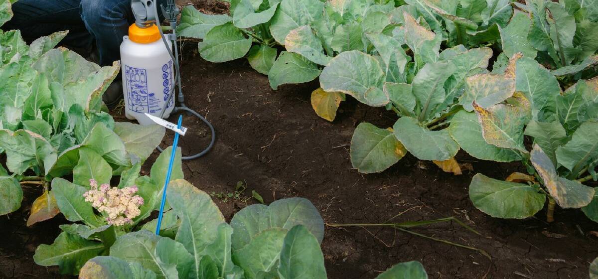 High-tech crop protection gets closer with hub
