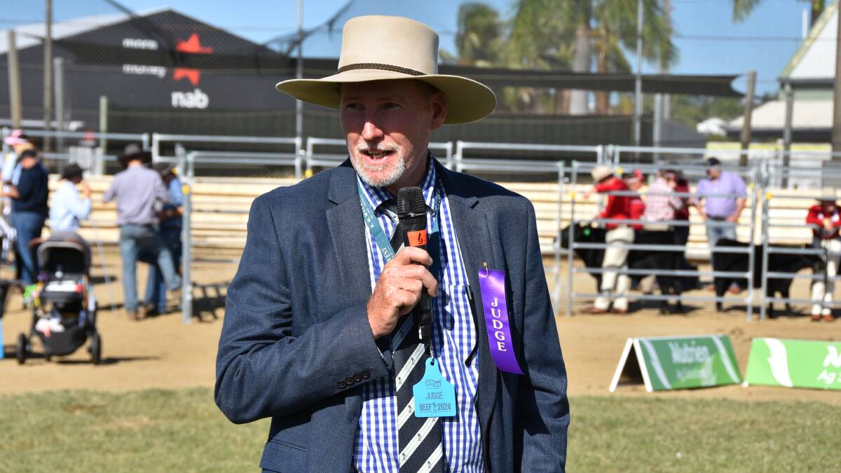 Judge Graham Brown, Windera casts his eye over the Red Poll line up. Picture by Ashley Walmsley