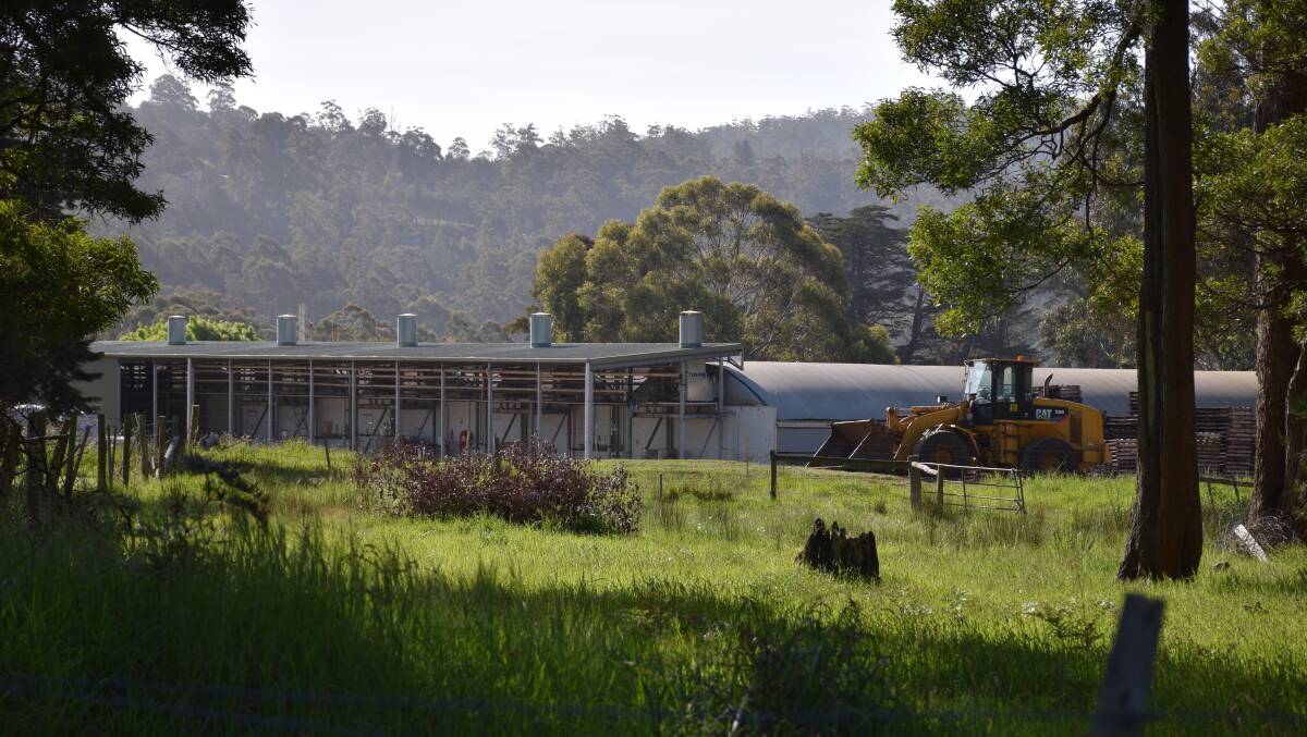 CLOSED: The Costa Group mushroom farm at Spreyton which closed in November 2019.