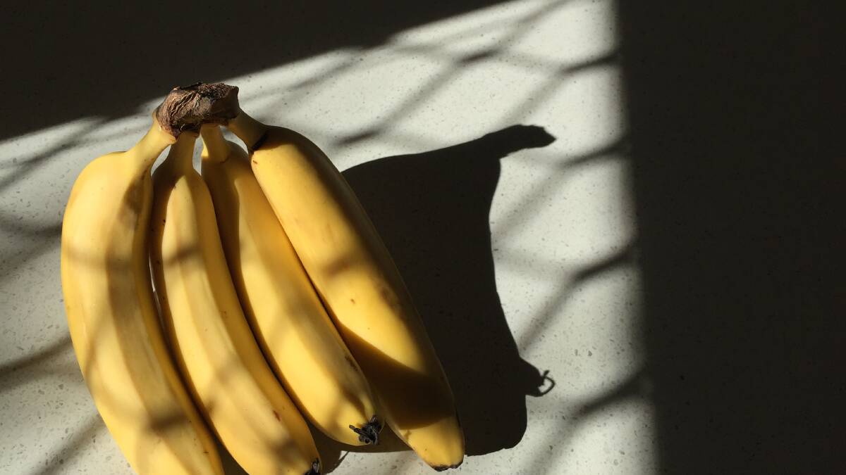 New board guides banana TR4 program