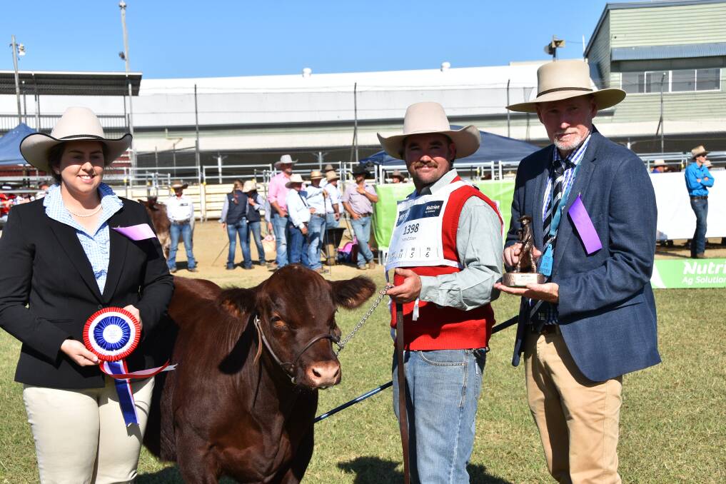 Associate judge Belinda Webber, Pittsworth, with James Thurley, Hobbs Livestock, Molong, NSW holding the grand champion Red Poll male, Omega 3 Voice, and judge Graham Brown, Windera. Picture by Ashley Walmsley