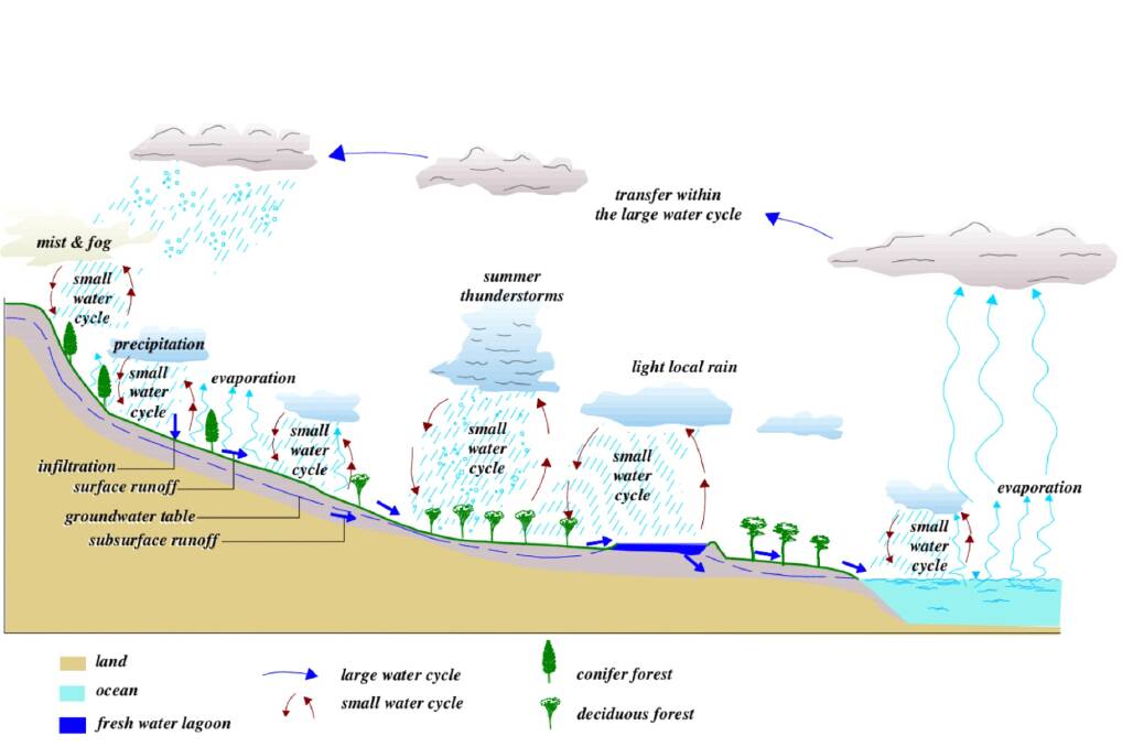 CYCLE: An increase in soil organic carbon and thus, matter, encourages the small water cycle that causes more effective rainfall, less heat and less frost.