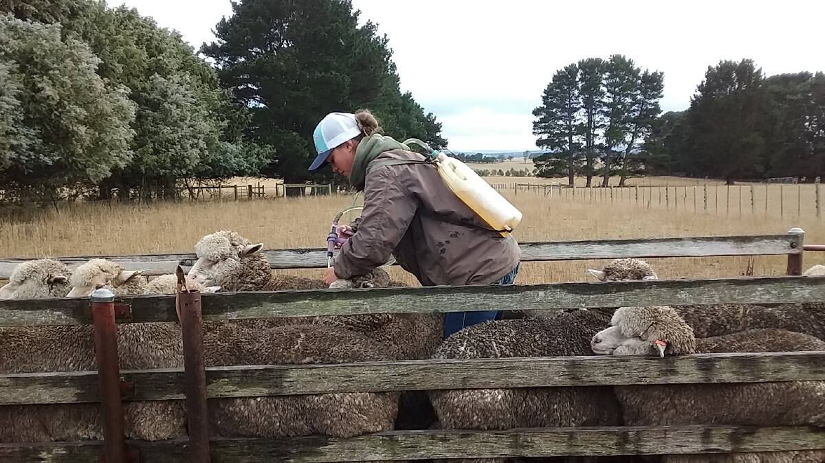 INSIGHT: Hay Inc graduate, Livinia Evans, Cooma, says the course gave her extra skills and techniques, particularly for use in the sheep industry. 
