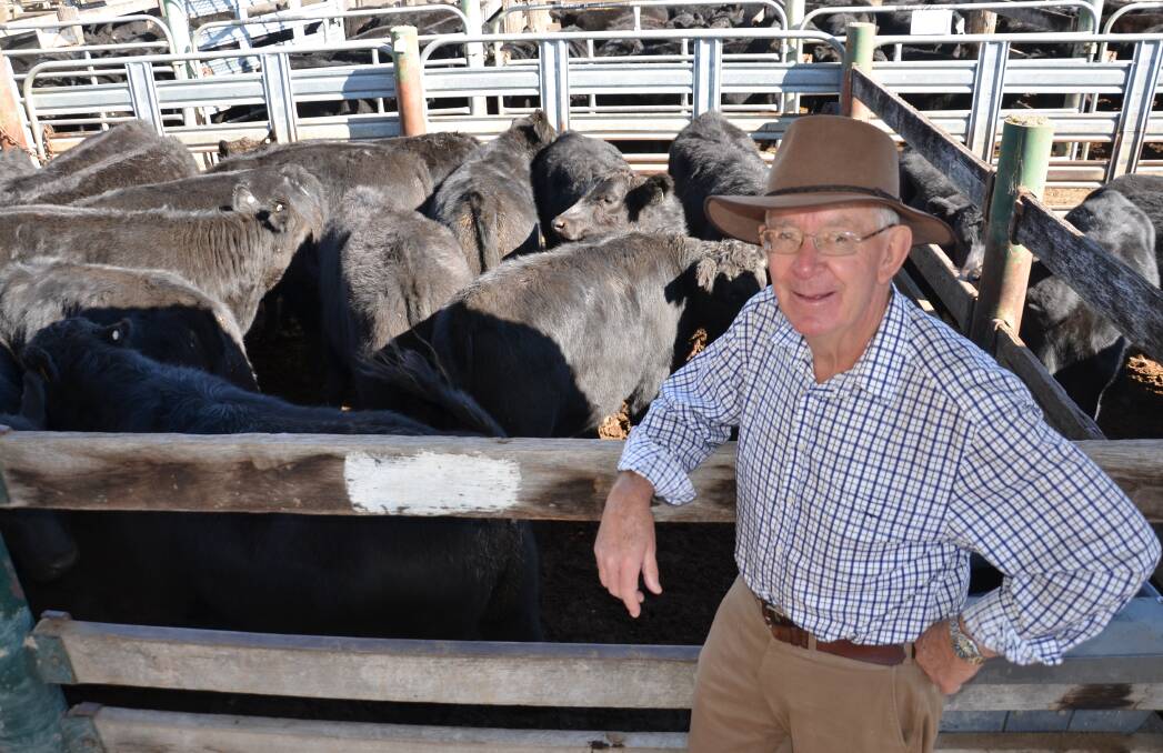 Terry Walsh, “Bindanoon”, Glen Innes won the champion pen of Angus steers and heifers at the sale they sold for 339c/kg. He was very happy with the prices. 