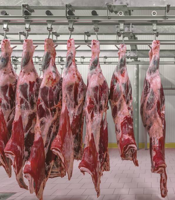 Of the 300,000t shipped to China, a little over 270,000t or 90 per cent was frozen beef, which suggests cow slaughter has played a major role in supplying this market.