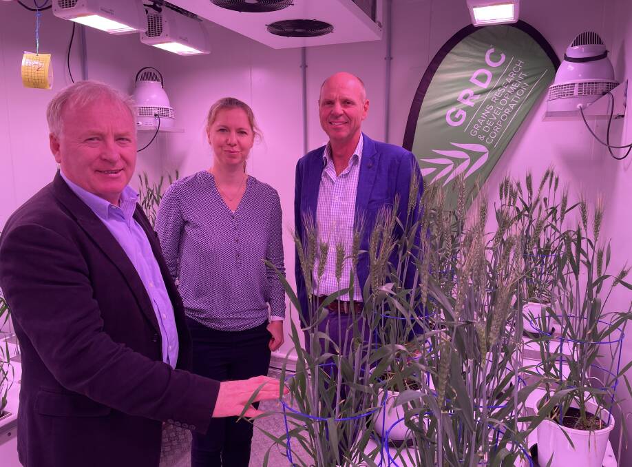 GRDC managing director Nigel Hart and chair John Woods (right) with University of Adelaide associate professor Bettina Berger in the Plant Accelerator at the Waite Campus. Picture by Alisha Fogden