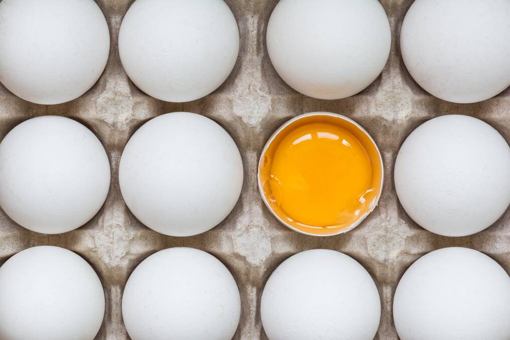 The impact of eggs on diets will be explored in a five-week study. Photo: SHUTTERSTOCK