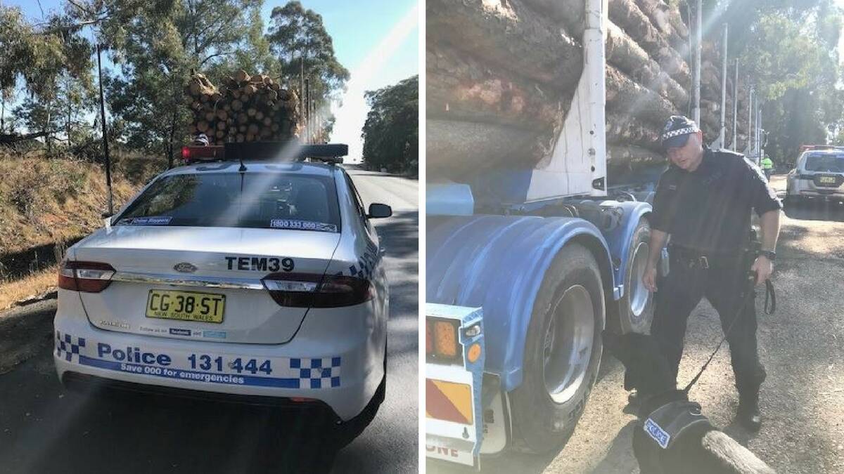 Several short-haul logging truck companies were inspected in drug supply investigations between Tumbarumba and Tumut on Monday. Picture: NSW Police Force