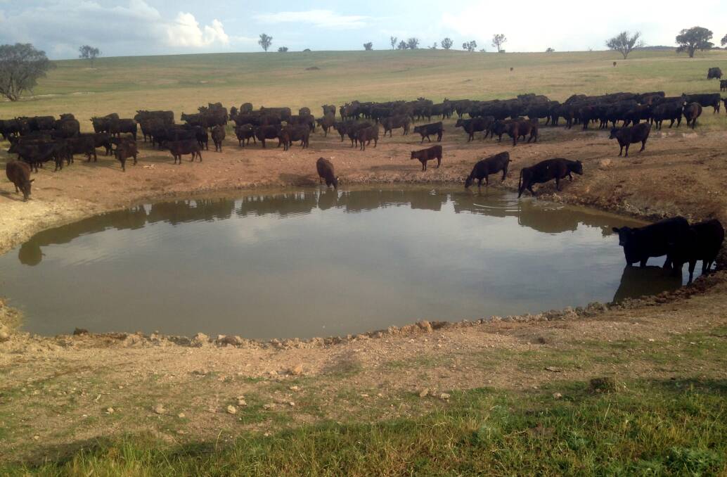 Surface water in dams and storages can quickly drop to critically low levels in hot weather.