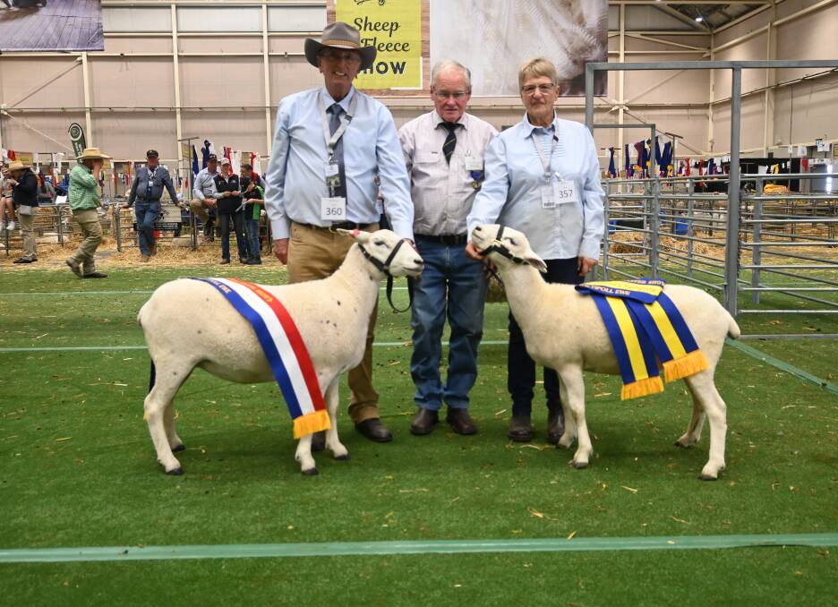 Reavesdale Wiltipolls' Ian Hopwood and Loris Denyer, Murringo, present the grand champion and reserve champion Wiltipoll ewes with judge Kelvin Cronk, Old Junee, centre. 