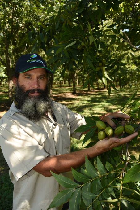 ADAPTABLE: Australian Pecan Association president, Scott Clark, Lismore, says the industry has great expansion potential with pecan trees able to grow in a wide range of Australian climates.