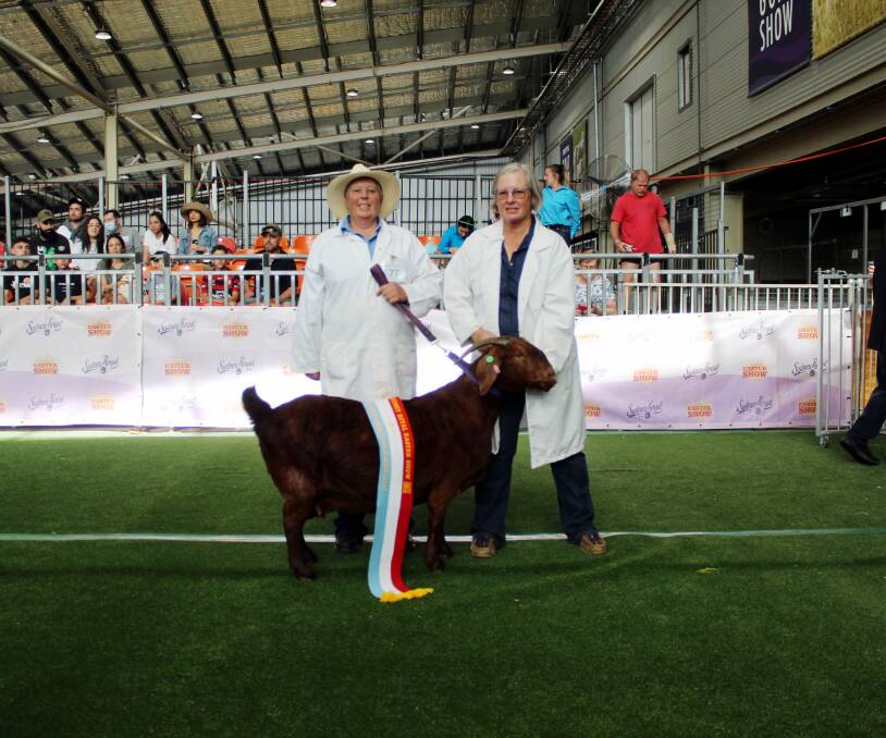 MOVING FORWARD: In hopes of improving the quality of red Boer goats, Marlene Andrew and Lynn Wickenden have won Supreme Champion Solid Colour Boer Goat. 