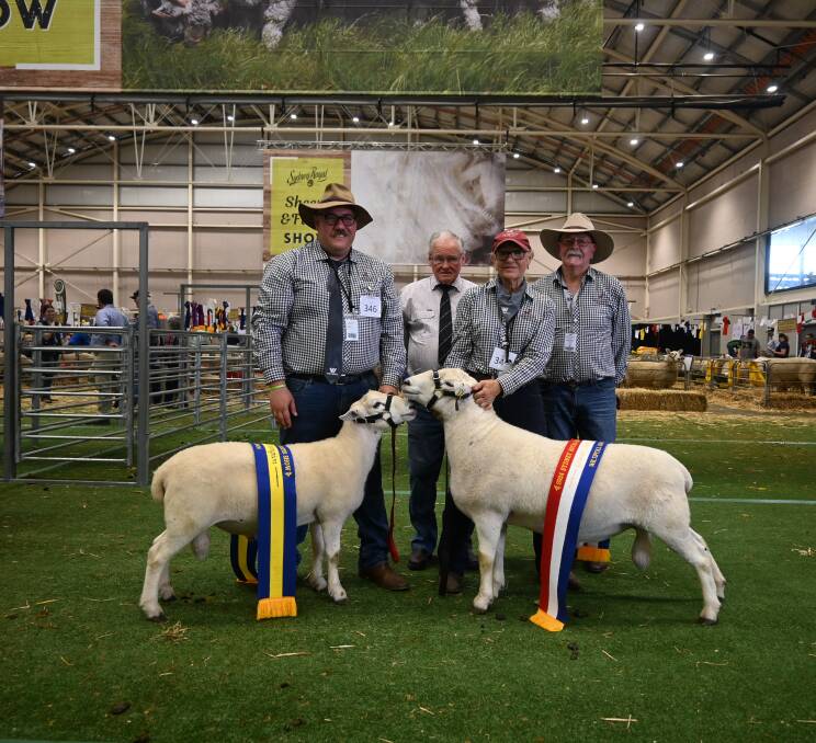 With the reserve champion and grand champion Wiltipoll rams are Brent Huie, judge Kelvin Cronk, Old Junee, Julie Huie and Geoff Lucas, Westmoreland Wiltipolls, Bathurst. Picture by Denis Howard
