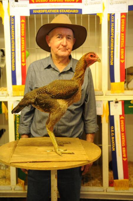 EVALUATE: Stan Thurlow, Gilgandra, knows shows are a great way to measure how good your birds are.