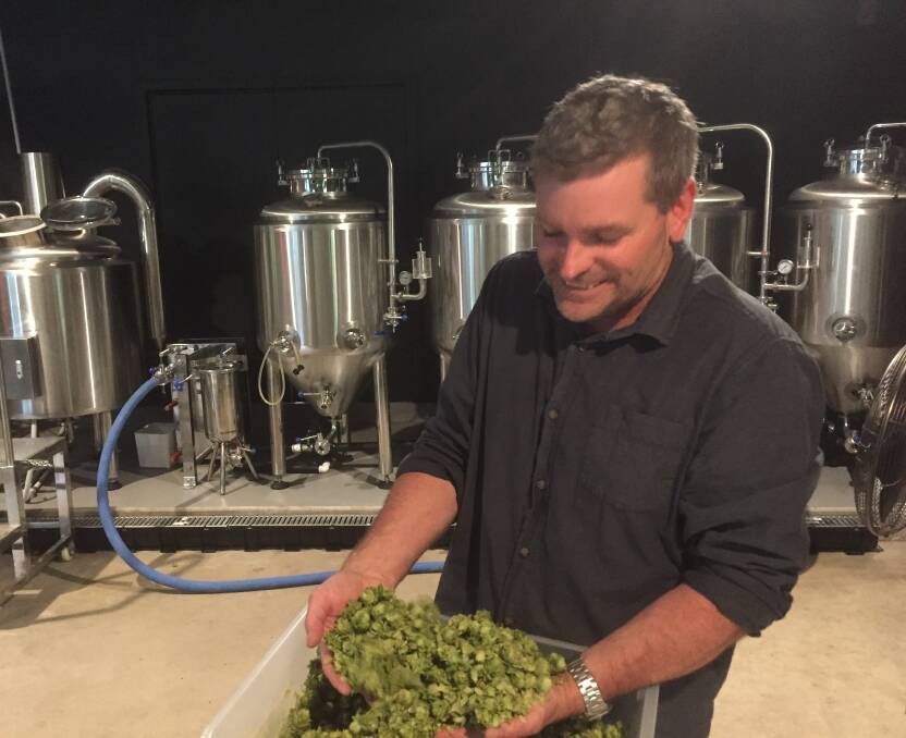 FRESH: Laggan Brewery's Evan Marler with a sample of Cascade hops from Lost River. Photo: Clare McCabe.