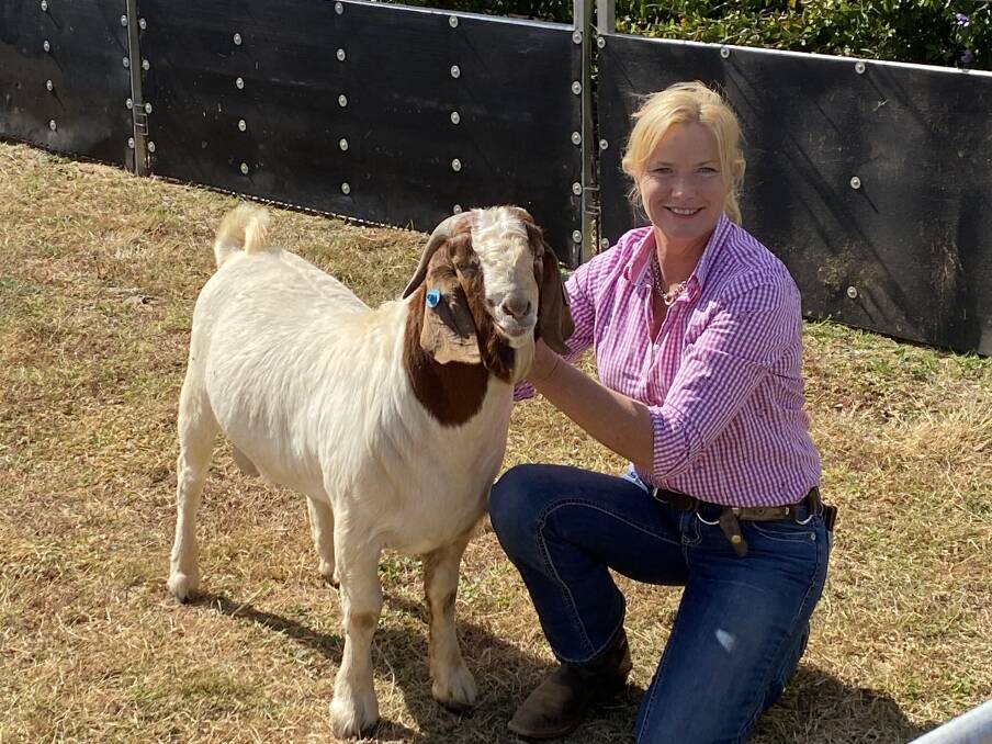 Marie Barnes, Micathel Boer Goat Stud, Cudal, NSW, believes the benefits being seen in the market are the fruits of 20 years hard work by the industry.
