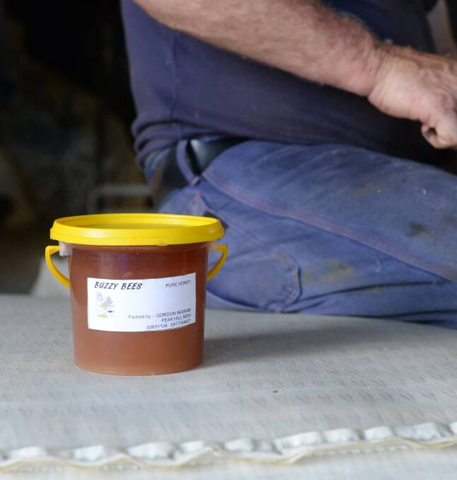 HEALING: Honey has proven to have good qualities as an antiseptic. Photo: Rachel Webb.