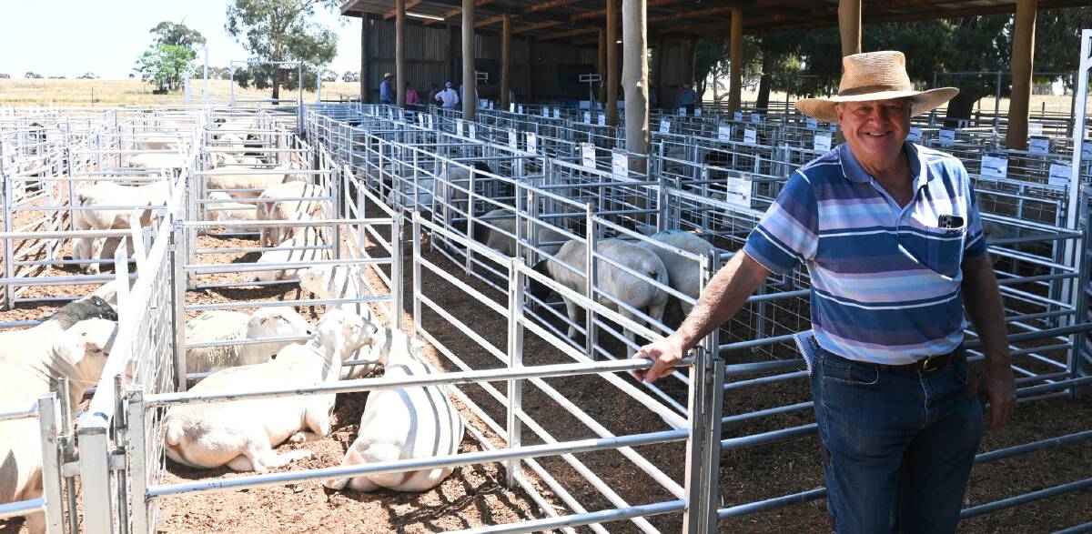 Frank Old was the volume buyer of the sale, purchasing 19 rams for his sons' operation at Balranald. 