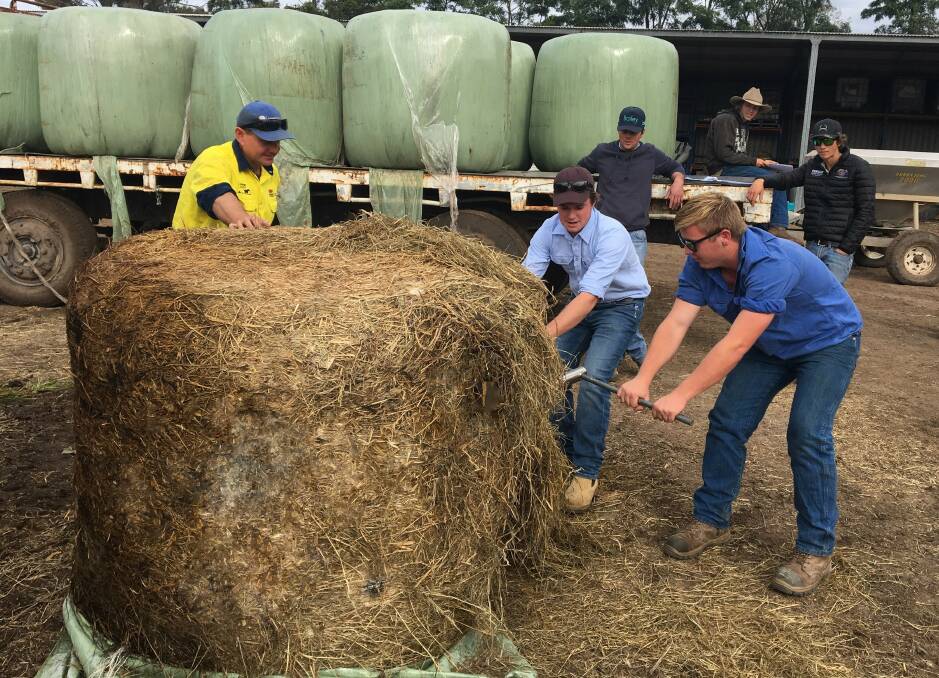 LEARNING: Tocal trainees taking a silage core sample for quality testing.
